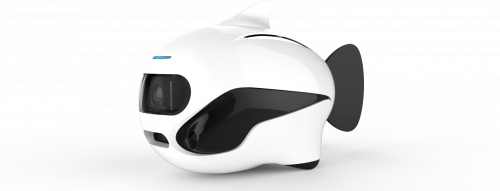 博雅工道仿生鱼